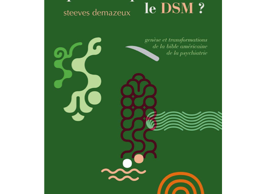 Qu'est-ce que le DSM ?