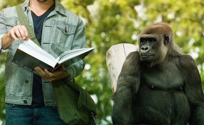 Sexe et genre vus par un primatologue